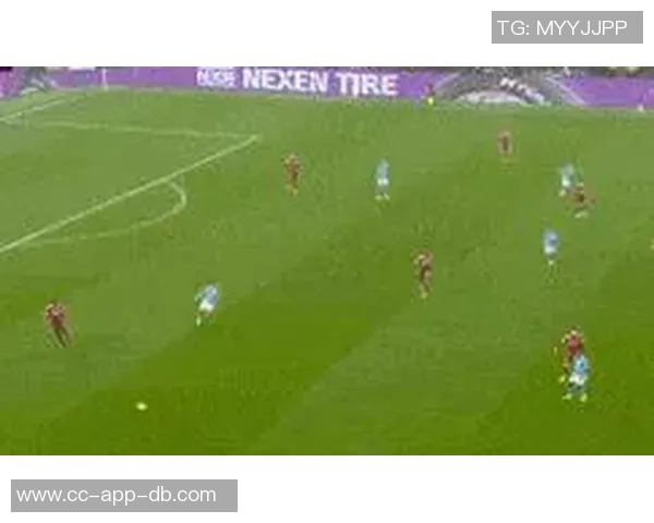 世欧预赛禁区触球数据揭晓多库遥遥领先哈兰德加克波凯恩紧随其后